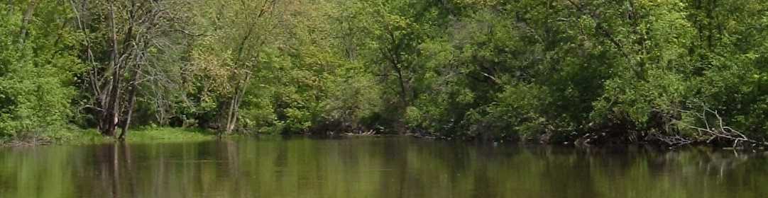 Des Plaines River Watershed Workgroup